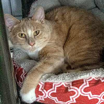 Photo of Percy #image