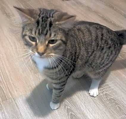 Photo of Kouki #image