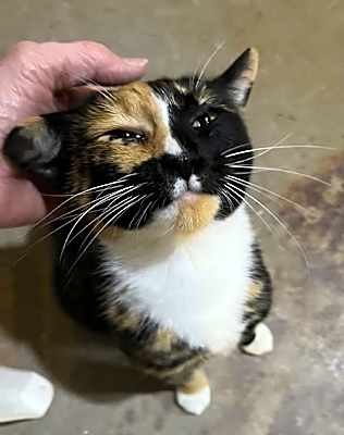 Photo of Precious #image