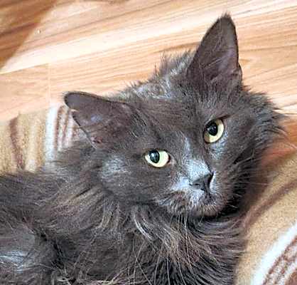Photo of Betty #image