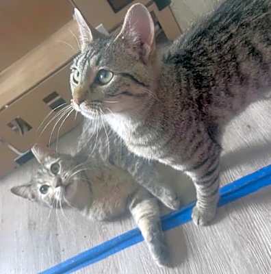 Photo of Thelma and Louise #image