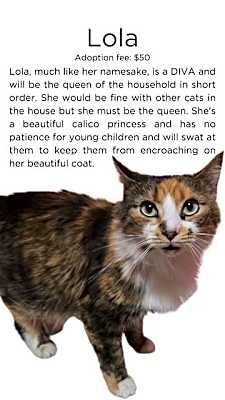 Photo of Lola #image