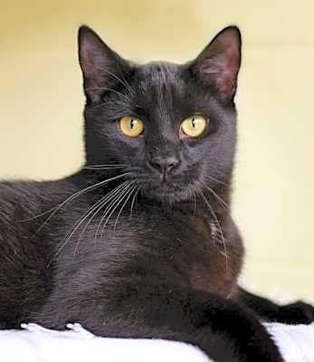 Photo of Freya #image