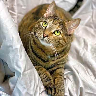 Photo of Tonette #image