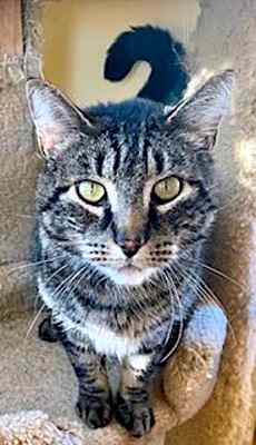 Photo of Tyrone #image