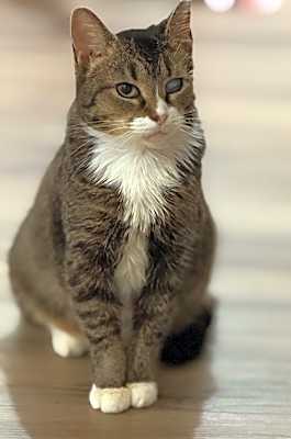 Photo of Little One #image