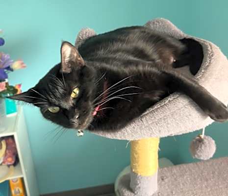 Photo of Stella (Elly) #image