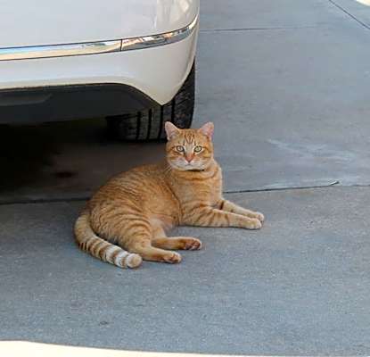 Photo of Dude #image