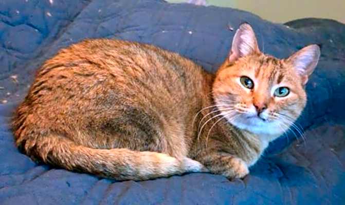 Photo of Lily #image