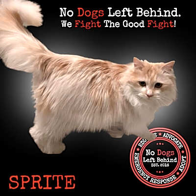 Photo of Sprite 9340 #image