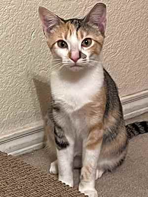 Photo of Fleur #image
