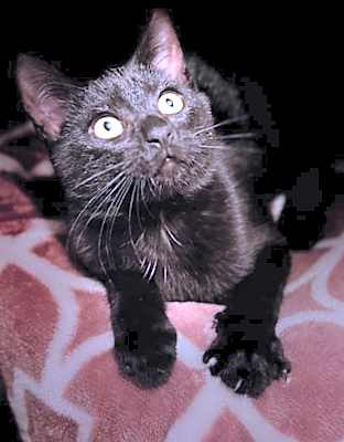 Photo of Theo #image