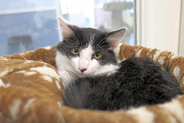Photo of Jackson #image