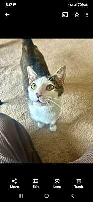Photo of Holly #image