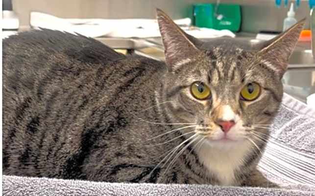 Photo of 656281 Bradley #image