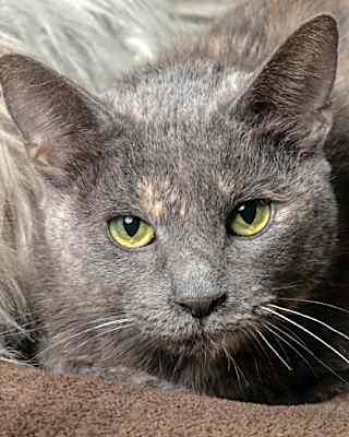 Photo of Blanche #image