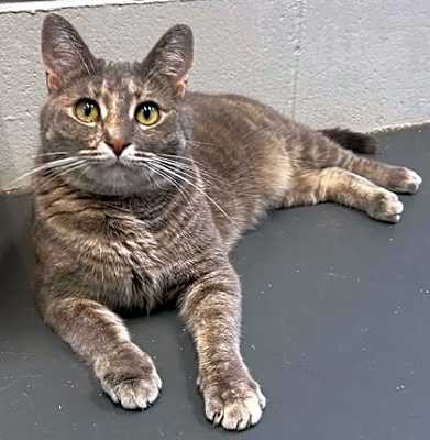 Photo of Nakita #image