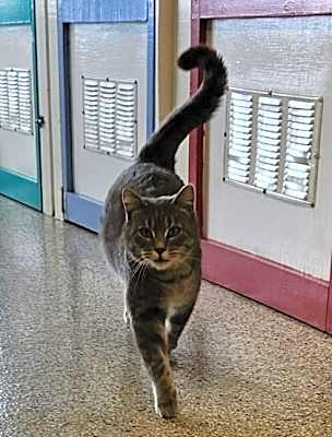 Photo of Theodore #image