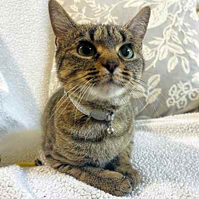 Photo of Darla #image