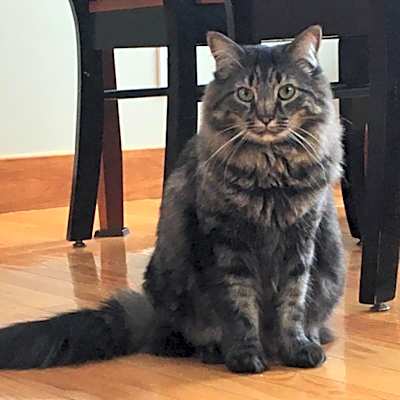Photo of Kenai #image