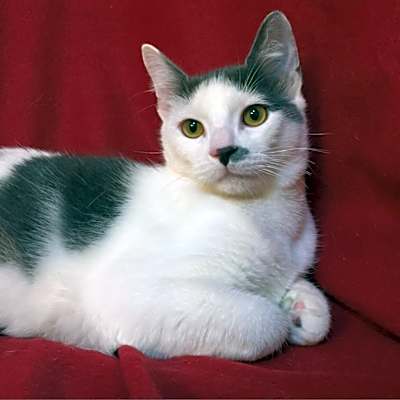 Photo of Taco Fersch #image