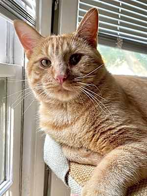 Photo of Bubba Alfred #image