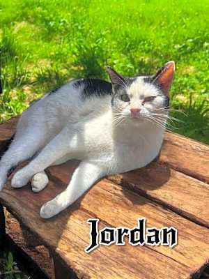 Photo of Jordan #image