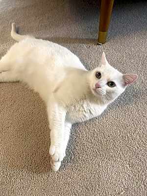 Photo of Lily Ann #image