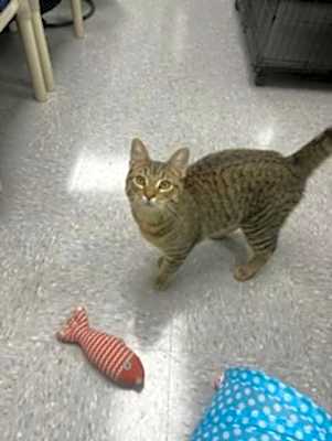 Photo of Theodore #image