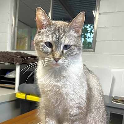 Photo of Fifi #image