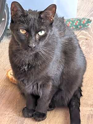 Photo of Zak Loki #image