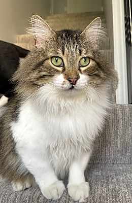 Photo of Taz #image
