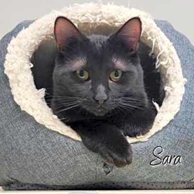 Photo of Sara #image