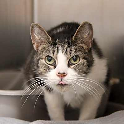 Photo of Sally #image