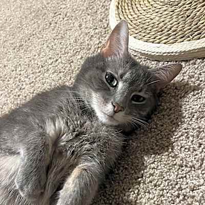 Photo of Violet #image