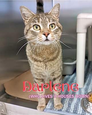 Photo of Darlene(who lives 3houses down #image