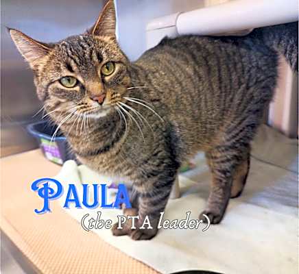 Photo of Paula (the PTA leader) #image