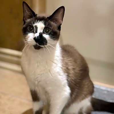 Photo of Hillary Kitt #image
