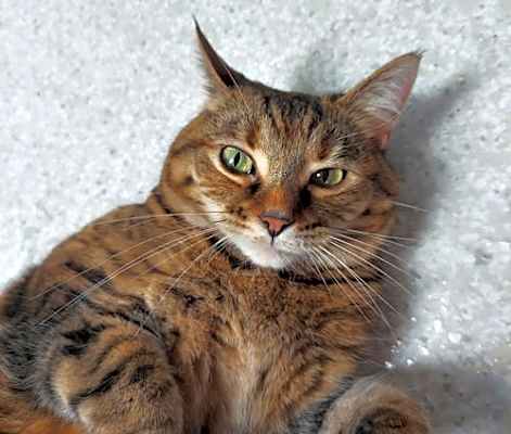 Photo of Maggie #image