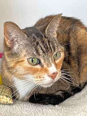 Photo of Ruthie #image