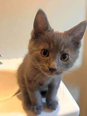 Photo of Louis #image