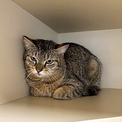 Photo of Freya #image
