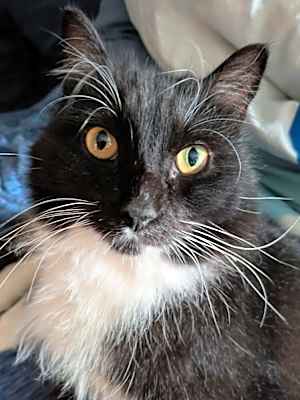 Photo of Sprite 3 #image