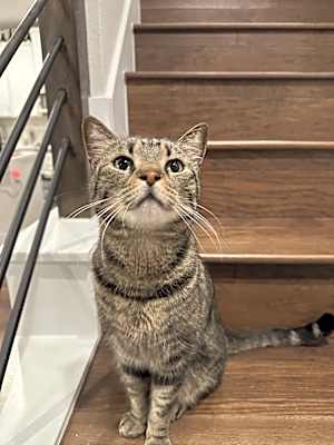 Photo of Jose Cuervo #image