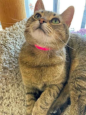 Photo of Riley #image