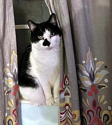 Photo of Georgia #image
