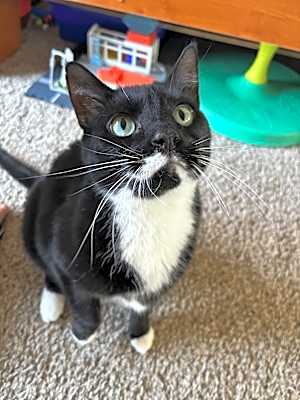 Photo of Willy #image