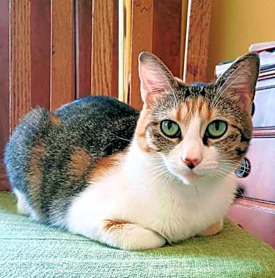 Photo of Wendy #image