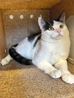 Photo of Catrick Swayze #image