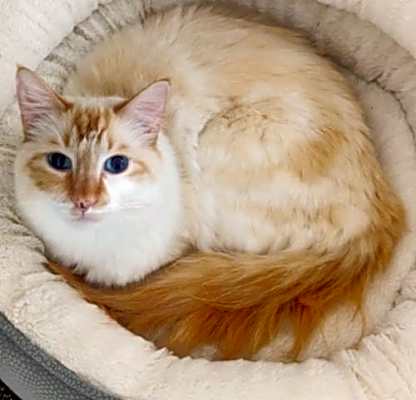 Photo of Little Egg #image